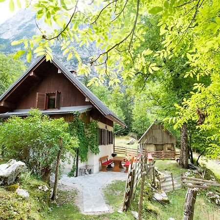Вилла Alpine House Antonia Трента Экстерьер фото
