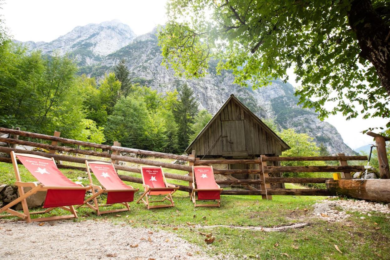 Вилла Alpine House Antonia Трента Экстерьер фото